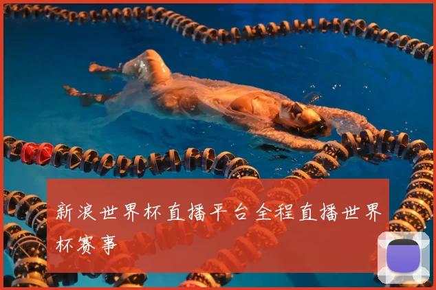 新浪世界杯直播平台全程直播世界杯赛事