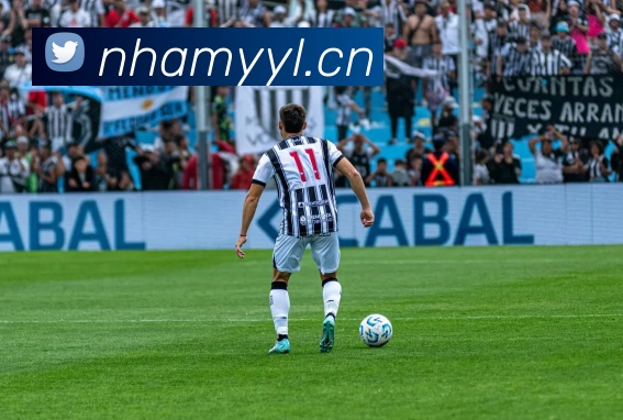 App Interface Preview